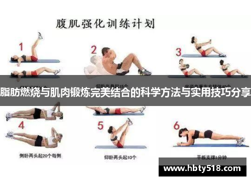 脂肪燃烧与肌肉锻炼完美结合的科学方法与实用技巧分享